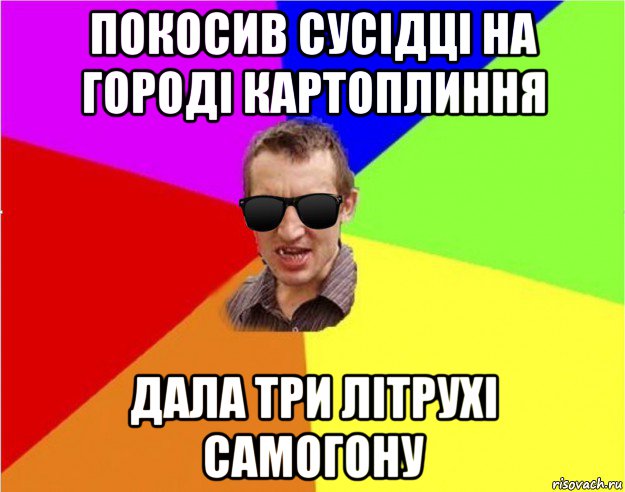 покосив сусідці на городі картоплиння дала три літрухі самогону, Мем Чьоткий двiж