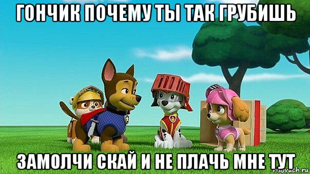 гончик почему ты так грубишь замолчи скай и не плачь мне тут