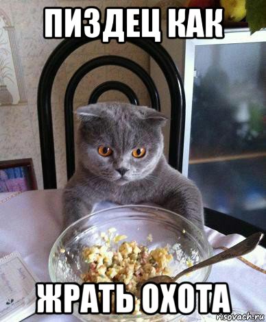 пиздец как жрать охота, Мем Щи да каша