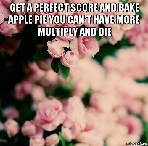 get a perfect score and bake apple pie you can't have more multiply and die , Мем цветы