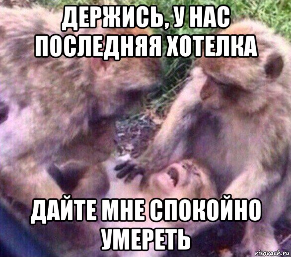 держись, у нас последняя хотелка дайте мне спокойно умереть, Мем Дайте мне спокойно умереть