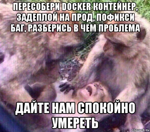 пересобери docker контейнер, задеплой на прод, пофикси баг, разберись в чем проблема дайте нам спокойно умереть, Мем Дайте мне спокойно умереть
