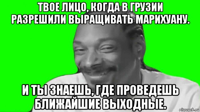 твое лицо, когда в грузии разрешили выращивать марихуану. и ты знаешь, где проведешь ближайшие выходные.