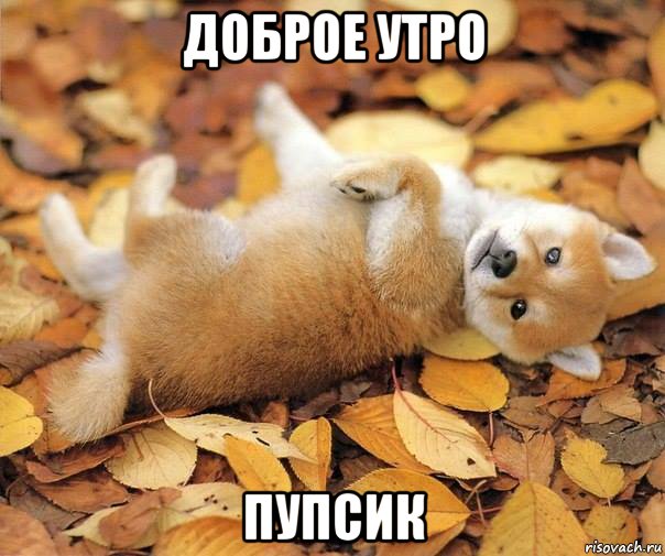 доброе утро пупсик, Мем Доброе утро Пора вставать из под