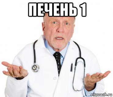 печень 1 