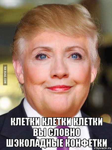  клетки клетки клетки вы словно шэколадные конфетки, Мем Дональд Трамп