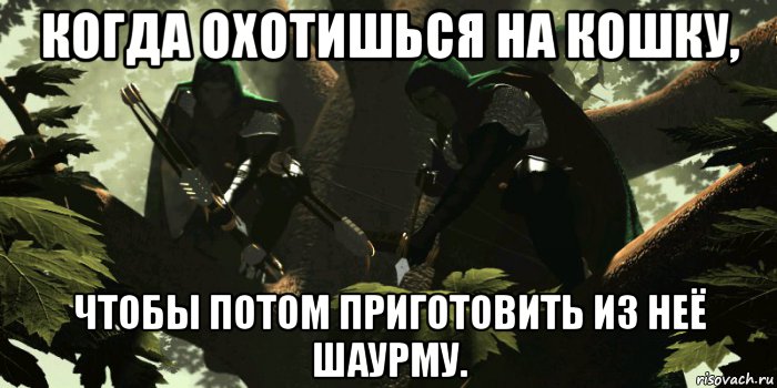 когда охотишься на кошку, чтобы потом приготовить из неё шаурму., Мем Два снайпера