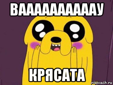 ваааааааааау крясата, Мем  Джейк няшка