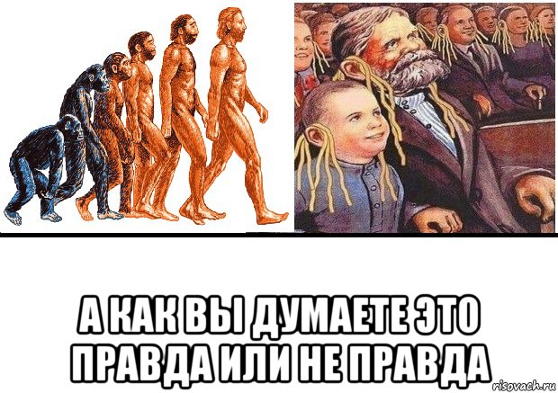  а как вы думаете это правда или не правда, Мем Эволюци