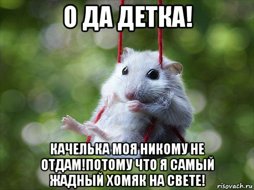 о да детка! качелька моя никому не отдам!потому что я самый жадный хомяк на свете!, Мем Эволюция хомяка