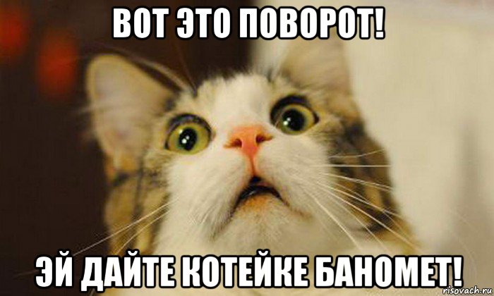 вот это поворот! эй дайте котейке баномет!