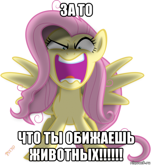 за то что ты обижаешь животных!!!!!!