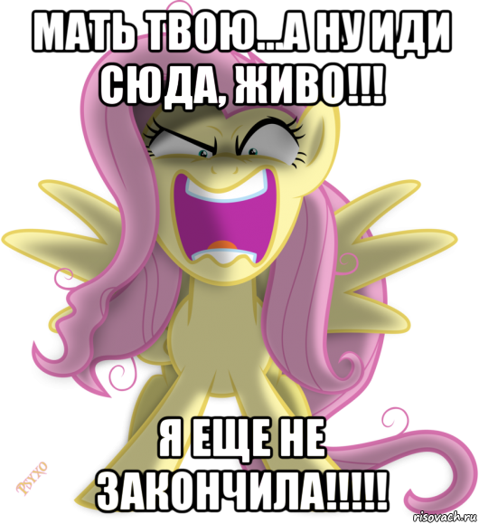 мать твою...а ну иди сюда, живо!!! я еще не закончила!!!!!