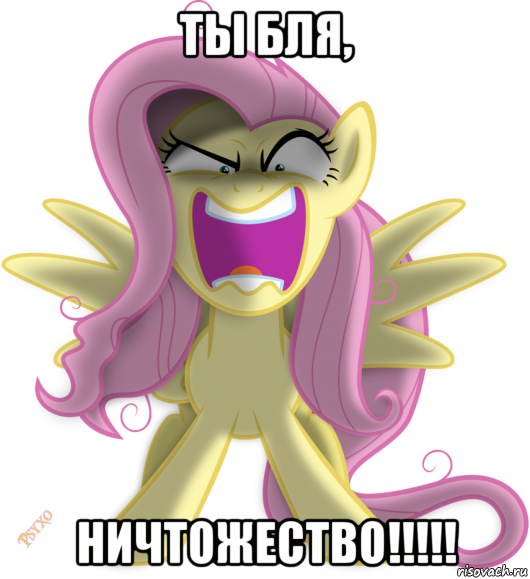 ты бля, ничтожество!!!!!