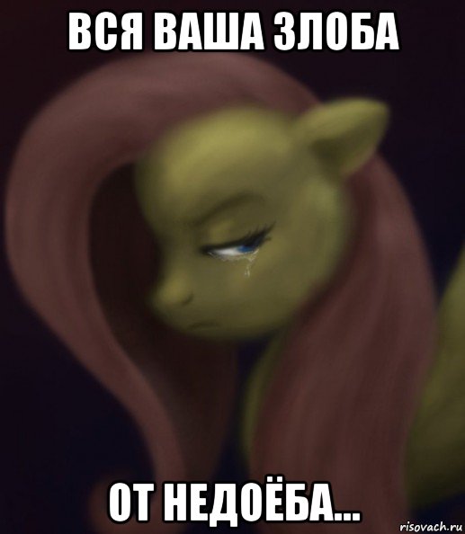 вся ваша злоба от недоёба..., Мем Fluttershy