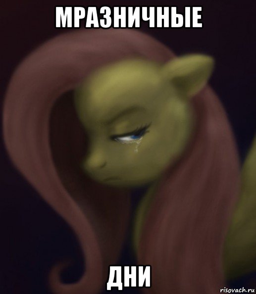 мразничные дни, Мем Fluttershy