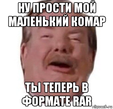 ну прости мой маленький комар ты теперь в формате rar, Мем Формат rar