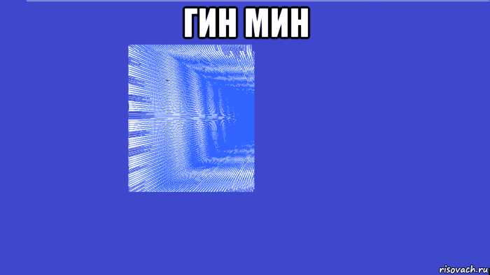 гин мин 