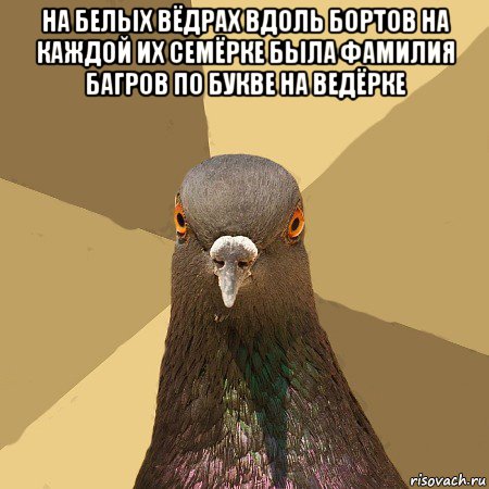 на белых вёдрах вдоль бортов на каждой их семёрке была фамилия багров по букве на ведёрке , Мем голубь