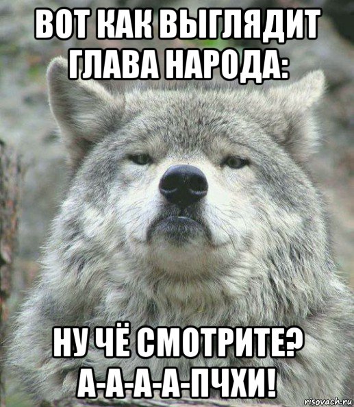 вот как выглядит глава народа: ну чё смотрите? а-а-а-а-пчхи!, Мем    Гордый волк