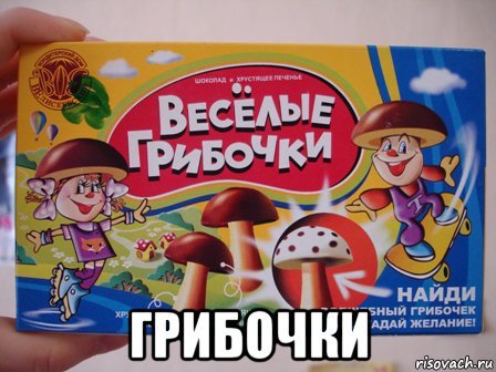  грибочки