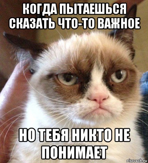 когда пытаешься сказать что-то важное но тебя никто не понимает, Мем Грустный (сварливый) кот