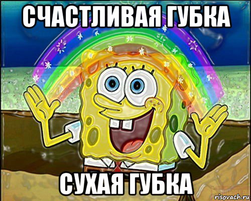 счастливая губка сухая губка