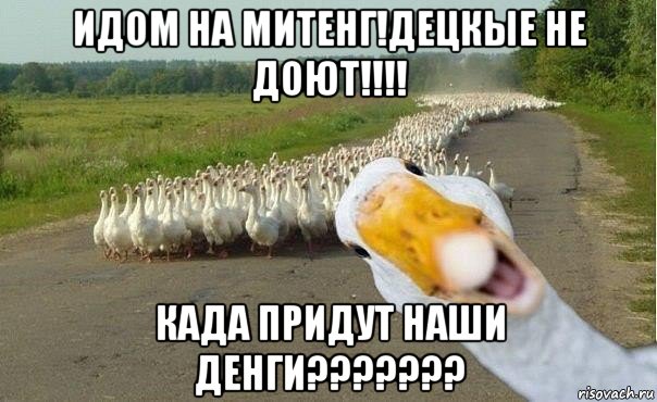 идом на митенг!децкые не доют!!!! када придут наши денги???????, Мем гуси