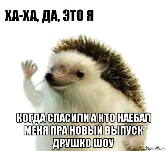  когда спасили а кто наебал меня пра новый выпуск друшко шоу, Мем Ха-ха да это я