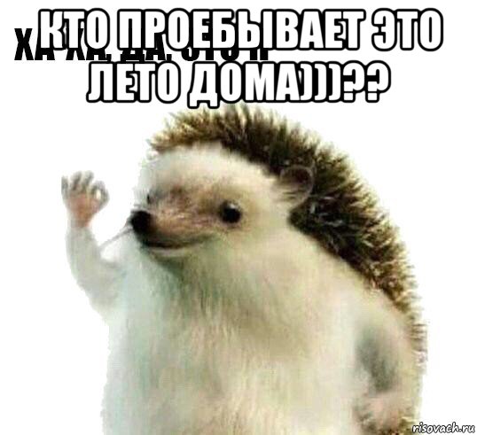 кто проебывает это лето дома)))?? , Мем Ха-ха да это я