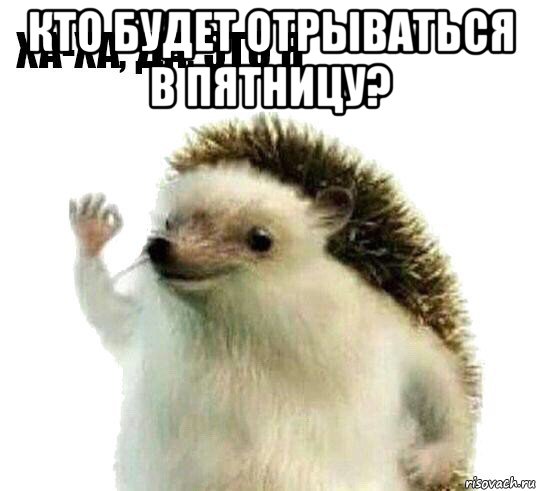 кто будет отрываться в пятницу? , Мем Ха-ха да это я