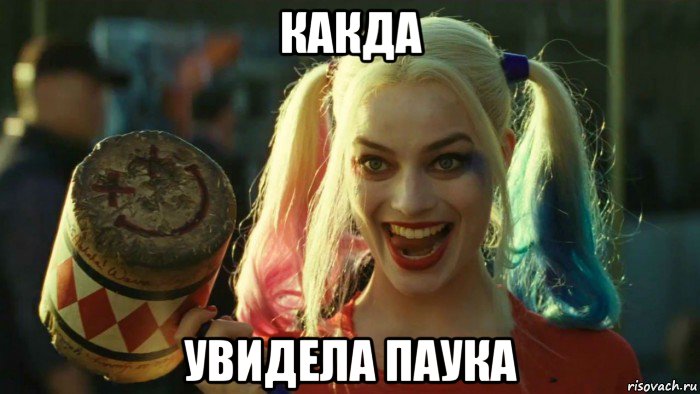 какда увидела паука, Мем    Harley quinn