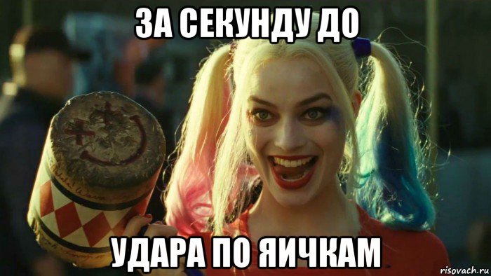 за секунду до удара по яичкам, Мем    Harley quinn