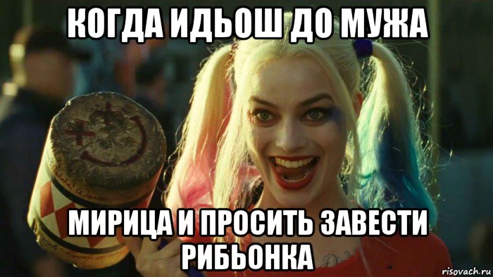 когда идьош до мужа мирица и просить завести рибьонка, Мем    Harley quinn