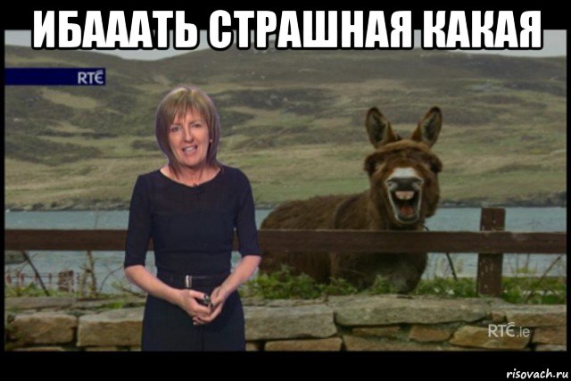 ибааать страшная какая , Мем Иа