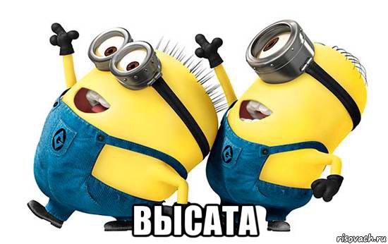  высата