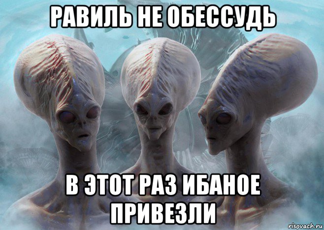 равиль не обессудь в этот раз ибаное привезли