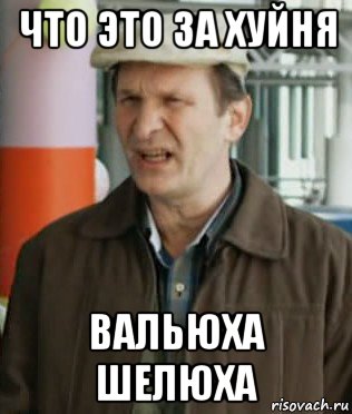 что это за хуйня вальюха шелюха