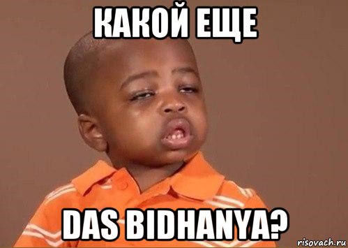 какой еще das bidhanya?, Мем Какой еще