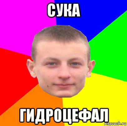 сука гидроцефал