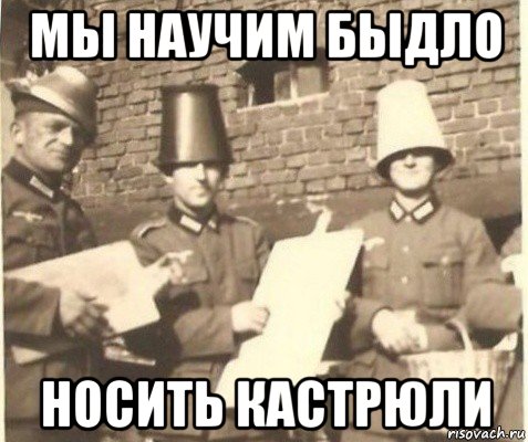 мы научим быдло носить кастрюли