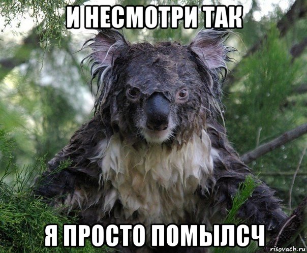 и несмотри так я просто помылсч
