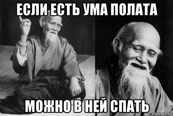 если есть ума полата можно в ней спать, Мем Конфуц