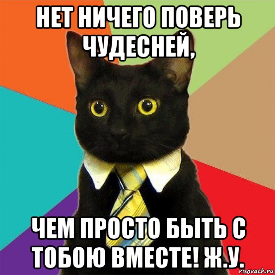 нет ничего поверь чудесней, чем просто быть с тобою вместе! ж.у., Мем  Кошечка