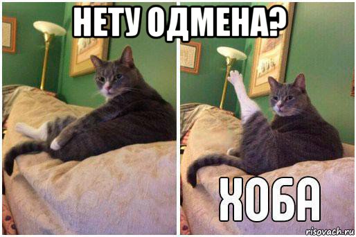 нету одмена? , Комикс Кот Хоба