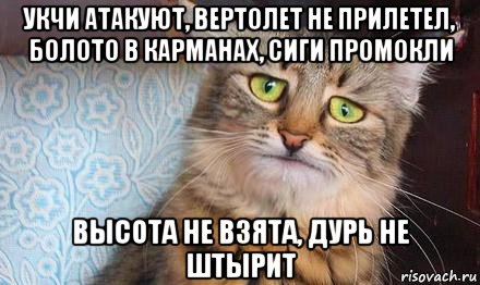 укчи атакуют, вертолет не прилетел, болото в карманах, сиги промокли высота не взята, дурь не штырит, Мем  кот печаль