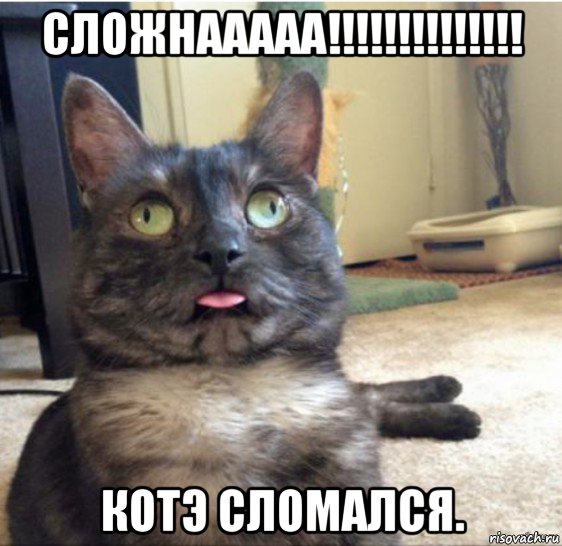 сложнааааа!!!!!!!!!!!!!! котэ сломался., Мем   Кот завис