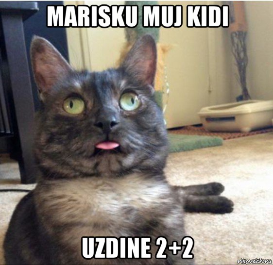 marisku muj kidi uzdine 2+2, Мем   Кот завис