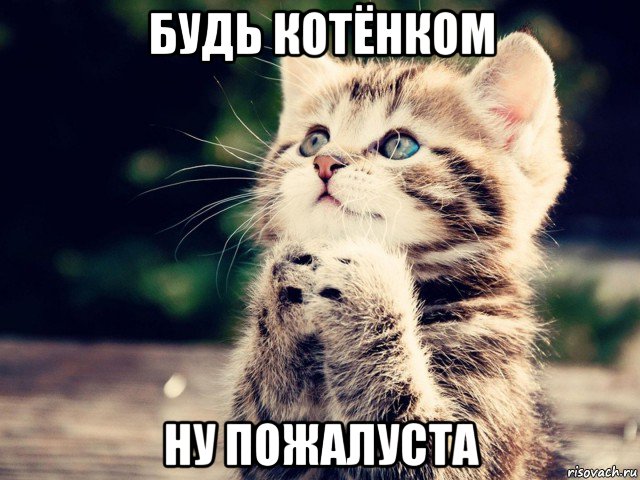 будь котёнком ну пожалуста