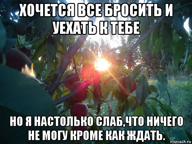 хочется все бросить и уехать к тебе но я настолько слаб,что ничего не могу кроме как ждать., Мем Лено